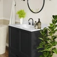 thumbnail image 6 of Flash Furniture Haven 36" Bathroom Vanity with Sink and Storage Cabinet Black/Black (FSBN436KDBKHBK), 6 of 11