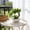 Green #5, variant on Artificial Potted Plants | Realistic Fake Flowers for Home Decor | Indoor Tabletop Arrangements for Living Room, Dining Table & TV Cabinet