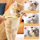 thumbnail image 3 of Comedero de tiras para gatos, cuchara para tiras de comida húmeda para gatos, cuchara para comida de gatos con orificio para colgar, cuchara para mascotas, cuchara para gatos y perros, 3 of 7