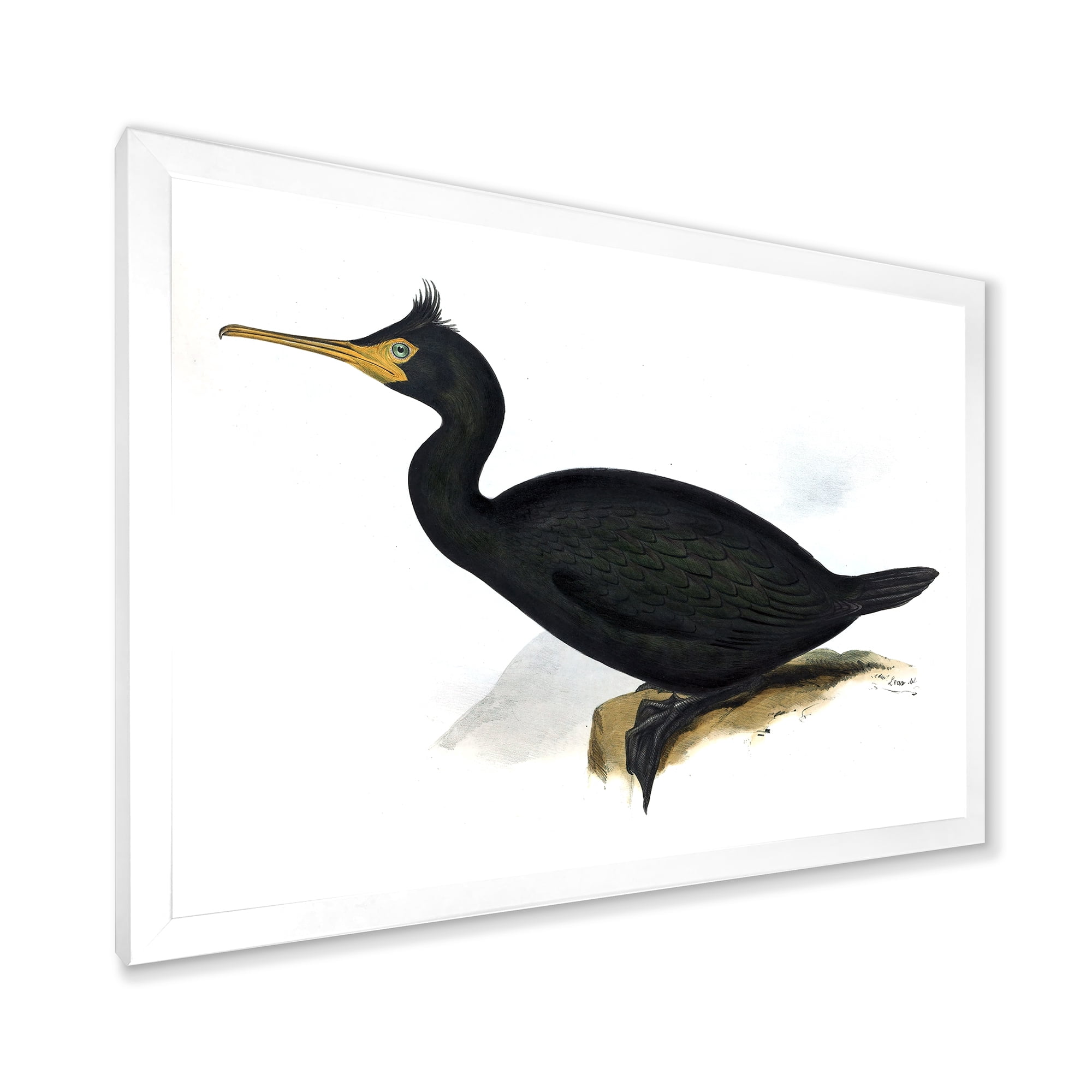 Designart 'Ancient Bird Life IV' Traditional Framed Art Print