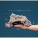 thumbnail image 5 of Cueva para reptiles CHAO Refugio para serpientes 19 x 14 x 11 cm, 5 of 5
