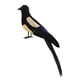 thumbnail image 4 of Pájaro de simulación de urraca, artesanías de pájaros artificiales, figuras de pájaros realistas para arte de jardín 30 centimetros, 4 of 9