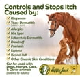thumbnail image 5 of Happy Jack Xylecide Antifungal Shampoo for Horses & Dogs, 12 Fluid Ounces Bottle, 5 of 11