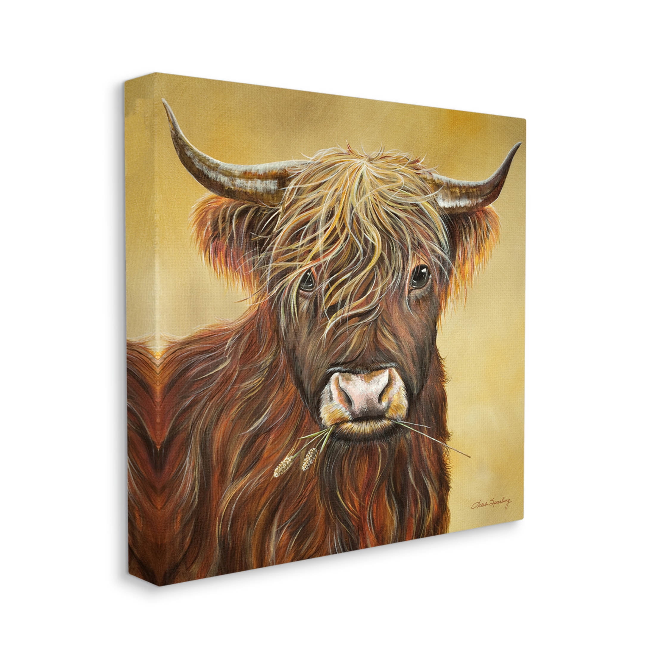 Highland Cattle Chewing Grass Portrait Animals & Insects Painting Gallery Wrapped Canvas Print Wall Art