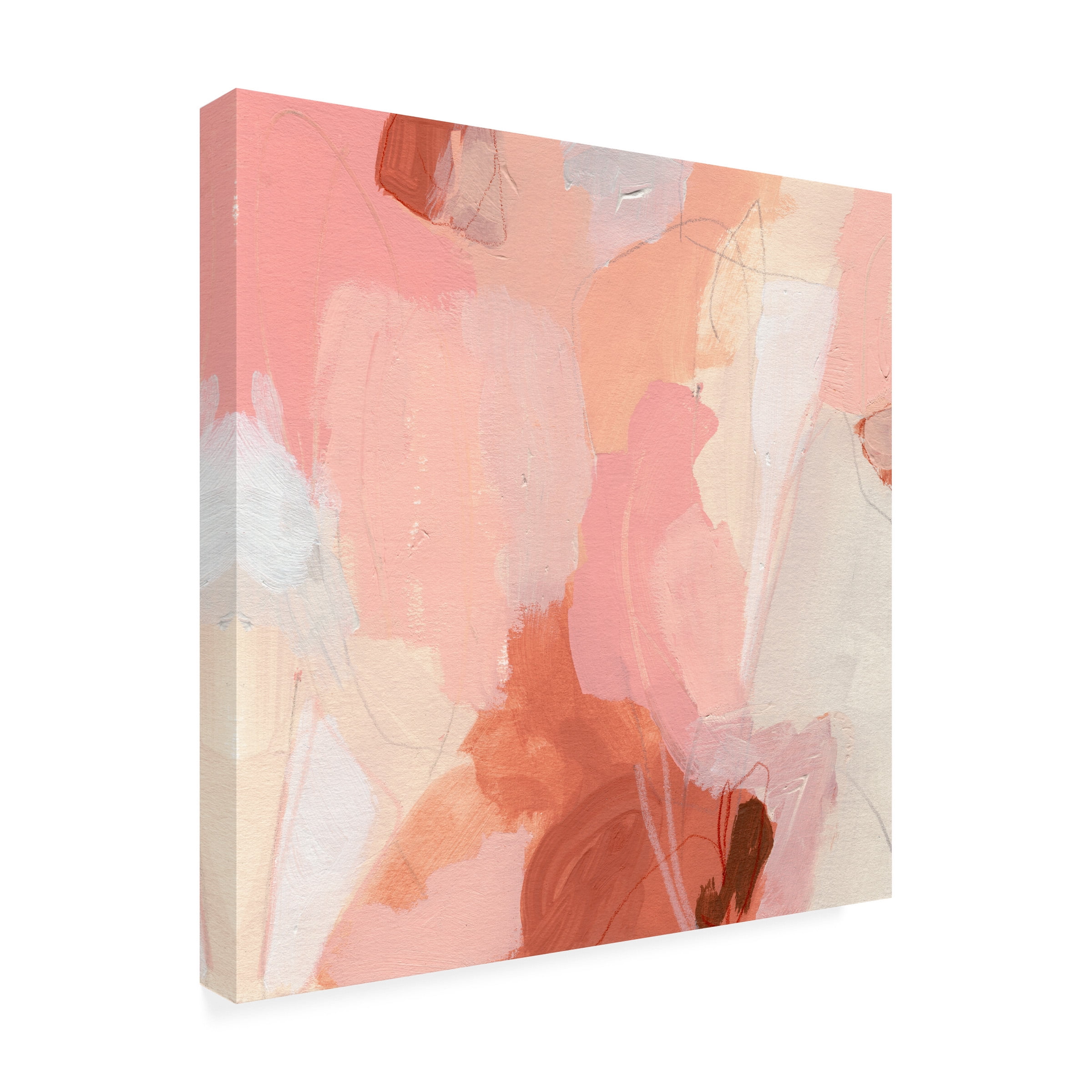 June Erica Vess 'Terracotta Cloud II' Canvas Art