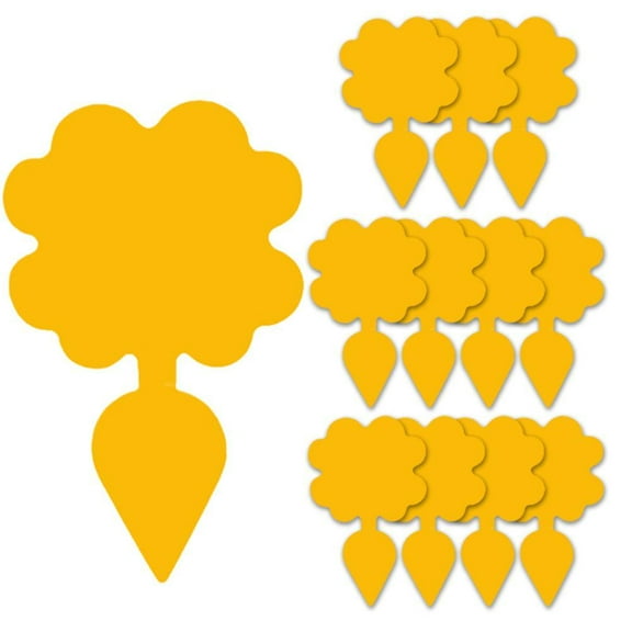 Sticky Traps for Fruit Fly, Whitefly, Fungus Gnat, Mosquito and Bug U9E5