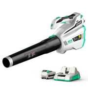 Litheli 40V Cordless Leaf Blower 480CFM ,Single-Tube with Brushless Motor For Blowing Leaf,Snow Blowing   2.5Ah Battery & Charger