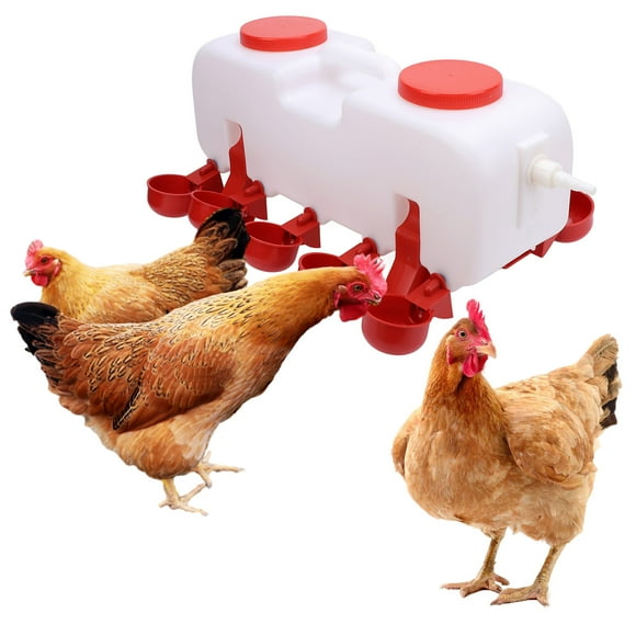 Chicken Waterer, Chicken Waterer Dispenser Labor Saving Automatic Plastic for Farm