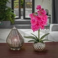thumbnail image 2 of 21 in. Potted Purple Orchid Flower, 2 of 3
