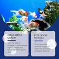 thumbnail image 3 of Aquarium Fish Tank Water Purification Agent Clear Water Products Algae Removal Agent Fish Tank Cleaning Water Purification Agent, 3 of 5