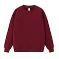 thumbnail image 4 of uvwlwu Sweatshirts Heavyweight Crewneck Sweatshirt For Oversized Color No Hood Pullover With Contrast Panels Casual Streetwear Top Winter Clothes(Size:M), 4 of 4