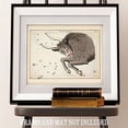 thumbnail image 3 of Antique Zodiac Taurus Constellation Plate - 11x14 Unframed Art Print - Great Home Decor or Gift to Astrology Enthusiasts, 3 of 6