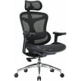 thumbnail image 1 of Ergonomic Office Chair with 3D Armrests & Dynamic Lumbar Support, Big and Tall Office Desk Chair, Adjustable High Back Mesh Computer Chair for Home Office, Black, 1 of 8