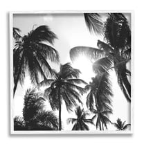 Sunlit Palm Tree Photography Landscape Photograph White Framed Art Print Wall Art