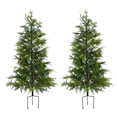thumbnail image 1 of BeesClover Pre-Lit Artificial Norfolk Pine Trees, 2-Pack Twinkle Christmas Cypress Set for Home, Office, or Entryway, 1 of 9