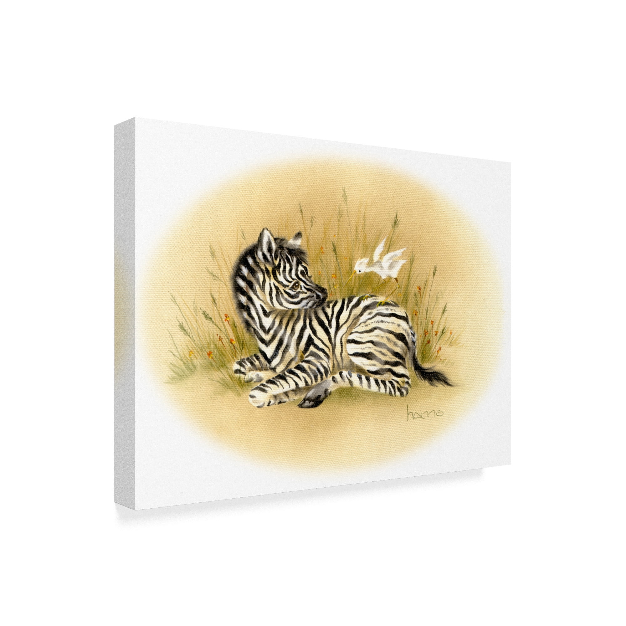 Trademark Fine Art 'Yipes Stripes' Canvas Art by Peggy Harris