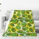 thumbnail image 1 of Balery Watercolor Kiwi Fruits Summer Manta de Felpa Suave y Acogedora – Cobija de Franela Aterciopelada para Cama, Lavable y Cálida para Sofá, Mascotas, Transpirable-80"x60", 1 of 7
