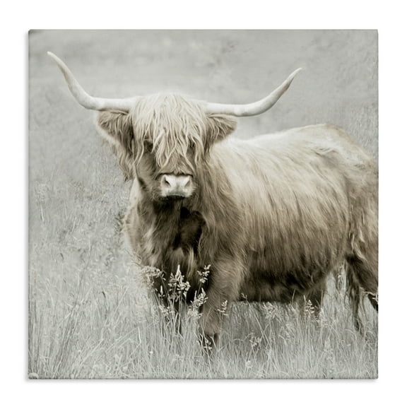 Stupell Industries Subtle Longhorn Cattle Animals & Insects Painting Gallery Wrapped Canvas Art Print Wall Art, 17 x 17