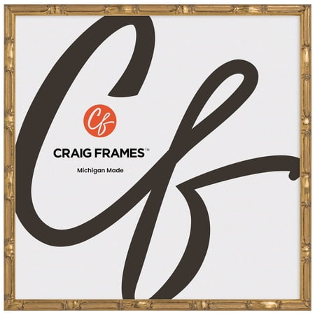 Craig Frames Vintage Champagne Gold Bamboo Composite Picture Frame, 12 x 12 Inch