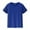 Blue, variant on Men's Athletic T Shirts Workout Tops Short Sleeve Crewneck Performance Gym Running Tee for Active