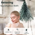 thumbnail image 2 of Eucalyptus seco 16 piezas 40-43 cm tallos naturales para ducha decoración baño hogar relajación, 2 of 8
