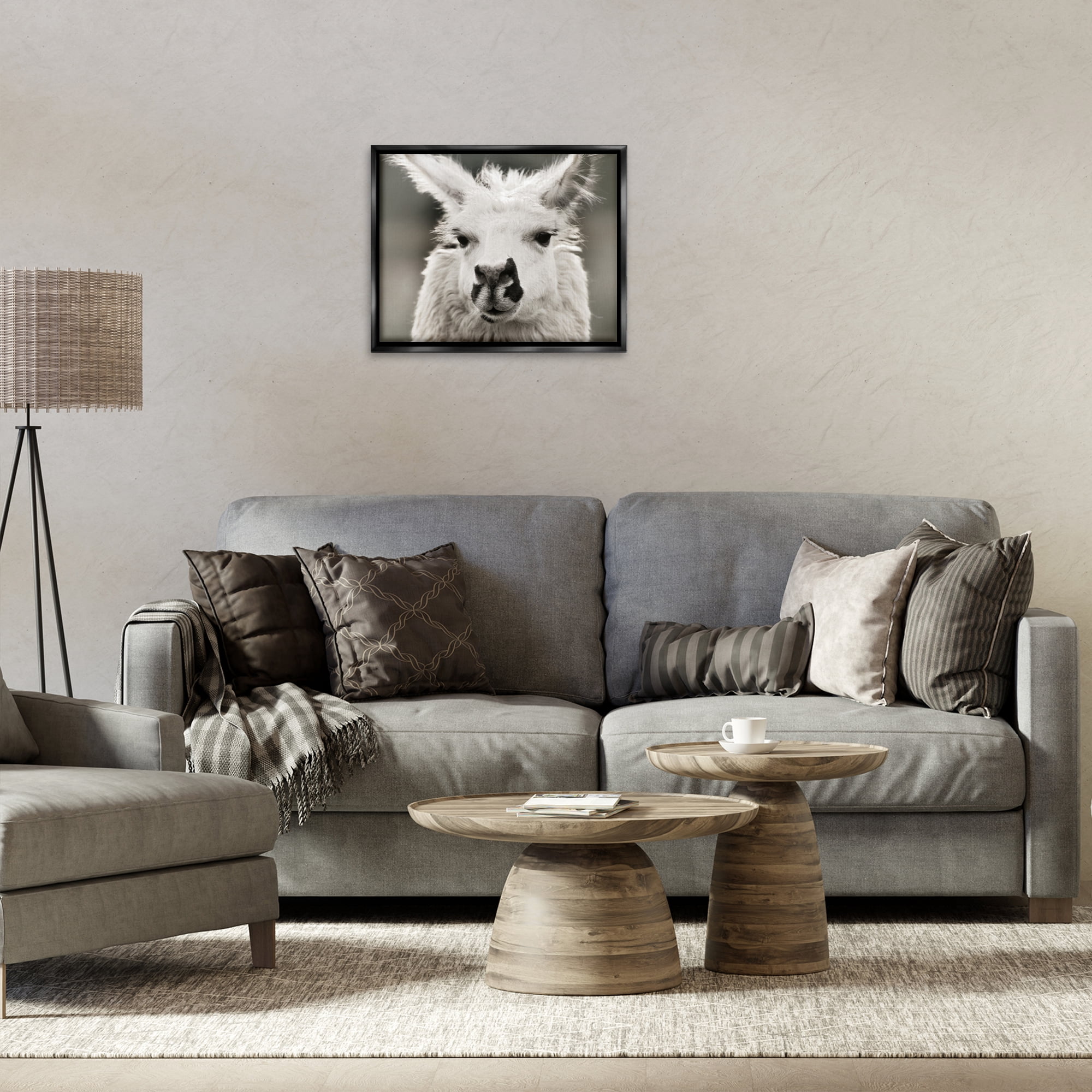 Stupell Industries Llama Gazing Portrait Animals & Insects Photography Black Floater Framed Canvas Art Print Wall Art, 21 x 17