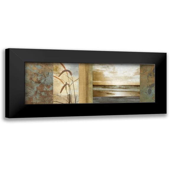 Seba, John 14x7 Black Modern Framed Museum Art Print Titled - Del Mar I