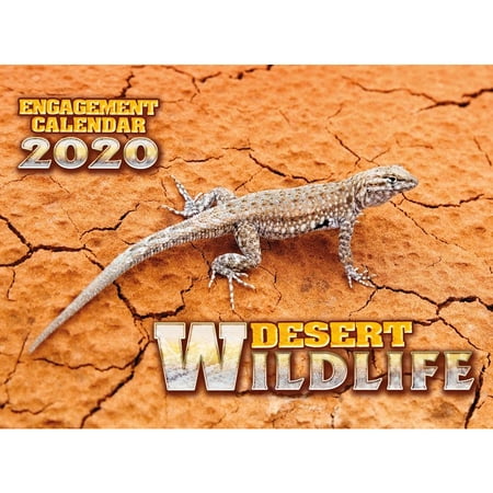 Erin Smith Calendar Smith Southwestern Southwest Wildlife Wall Calendar Printed on High Quality FSC Certified Paper with Full Color Pages - 12 Month ()