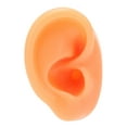 thumbnail image 1 of Modèle d'Oreille Artificielle, Modèle d'Oreille Humaine Multi-Usages Réutilisable Professionnel Doux pour Entraînement d'Oreille Gauche, Droite, 1 of 8