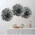 thumbnail image 3 of BalsaCircle 6 Pieces Silver 10" Paper Pom Poms Balls Bridal Event Birthday Party Decorations, 3 of 5