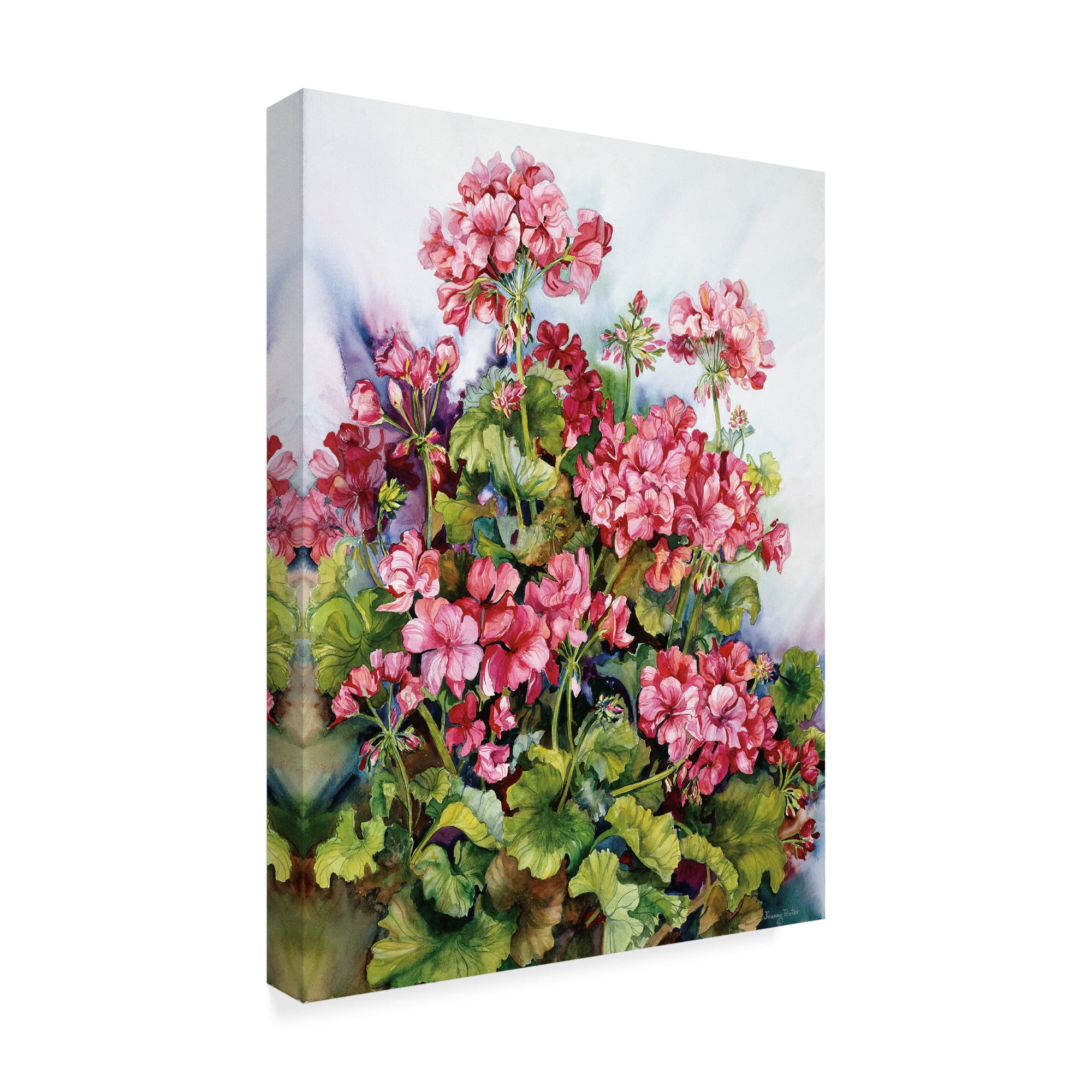 Trademark Fine Art 'Red Geranium' Canvas Art by Joanne Porter