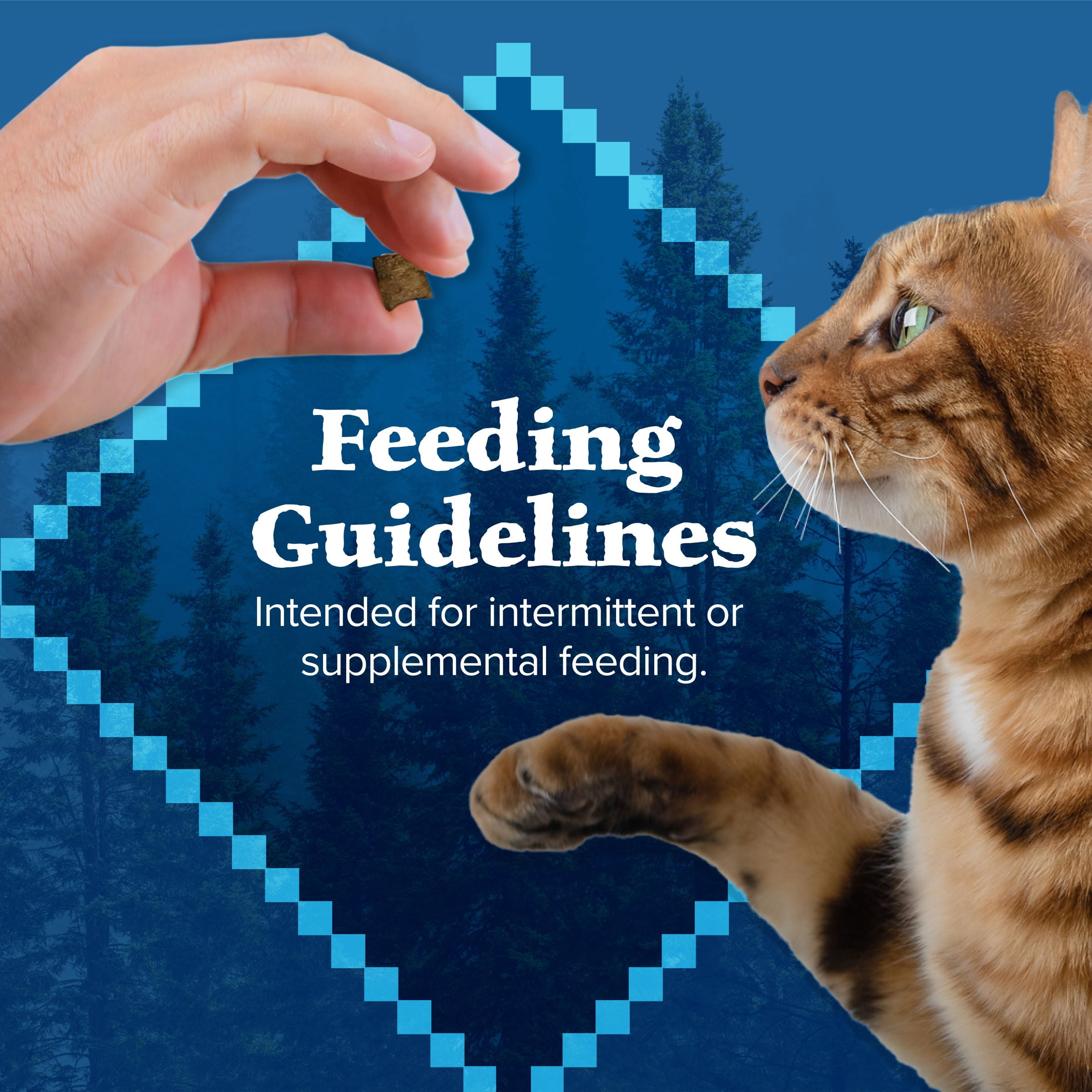 Blue Buffalo Wilderness Chicken & Salmon Flavor Dry Soft Treats for Cats, Grain-Free, 2 oz. Bag