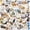 Animal, variant on 50Pcs Medieval Inspiration Stickers Funny Animal Sarcastic Stickers Motivational Positive Sticker for Journaling Scrapbooking Supplies Water Bottle Laptops Phone for Women Adults Teachers (Animal)