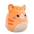 thumbnail image 5 of Squishmallows Original 14 inch Gigi the Orange Tabby Cat - Child's Ultra Soft Stuffed Plush Toy, 5 of 6