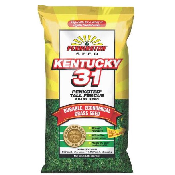 Pennington 100516050 Kentucky 31 Tall Fescue Penkoted Grass Seed, 5 Lb