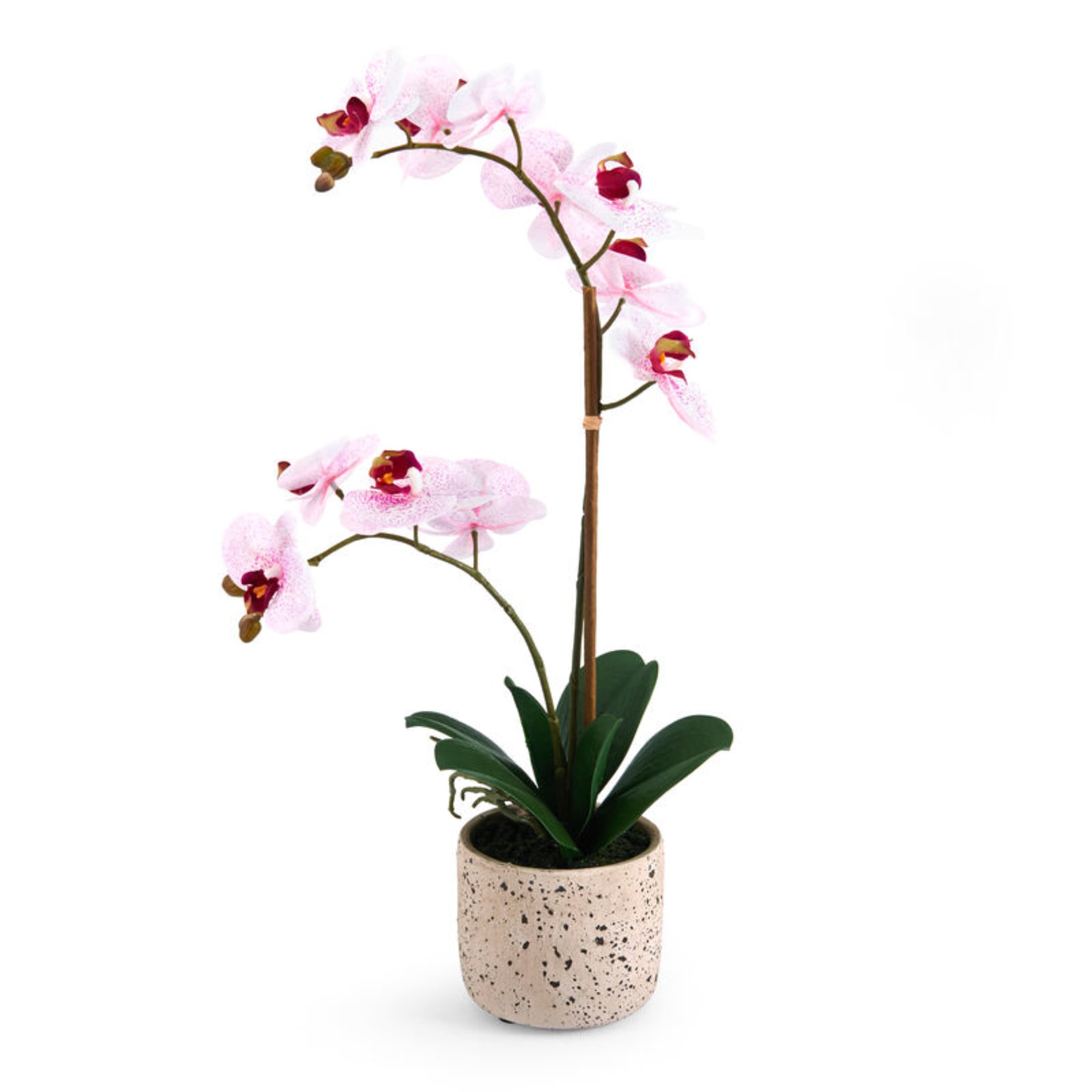 Home Accents 21-inch Artificial Real Touch Phalaenopsis Orchid Flower in Pot, Pink