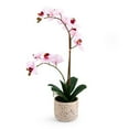 thumbnail image 6 of Home Accents 21-inch Artificial Real Touch Phalaenopsis Orchid Flower in Pot, Pink, 6 of 7