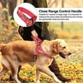 thumbnail image 6 of Didog No Pull Dog Harness with Soft Padded Handle Front Leading Safety Escape Proof Quick Fit Buckle, 6 of 7