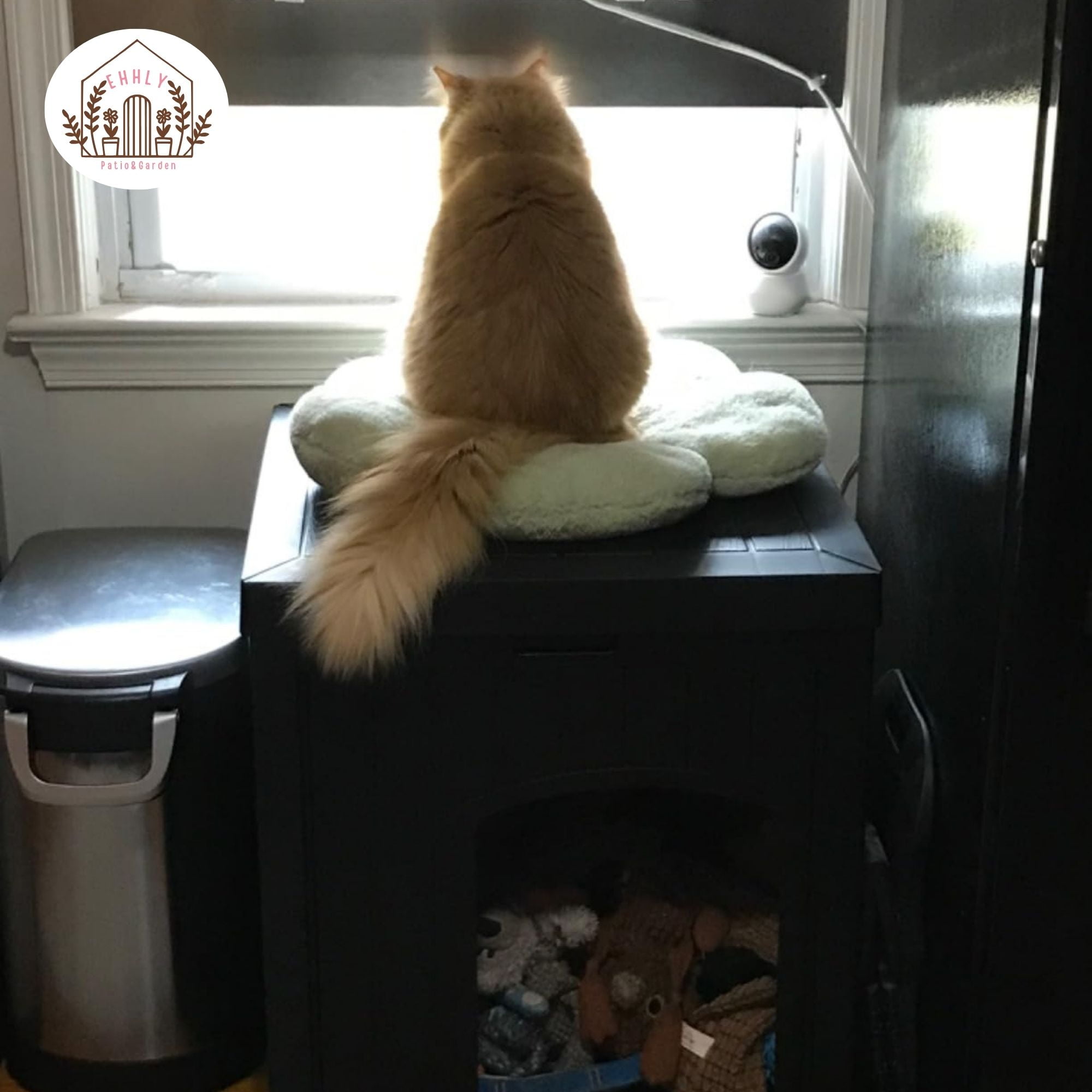 EHHLY Outdoor Cat House Waterproof, Outside Multiple Feral Cat Houses Weatherproof, Cat Litter Box Enclosure, Durable Resin Plastic, Black