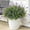 Purple, variant on Outdoor Faux Plants UV Resistant - 12 Bouquets Realistic Artificial Monkey Grass Greenery for Patio Garden Front Porch Decor Weatherproof Fake Plants for Outside