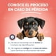 thumbnail image 4 of Lector de Microchip + 5 Microchips para Mascotas para Perros y Gatos, 4 of 7