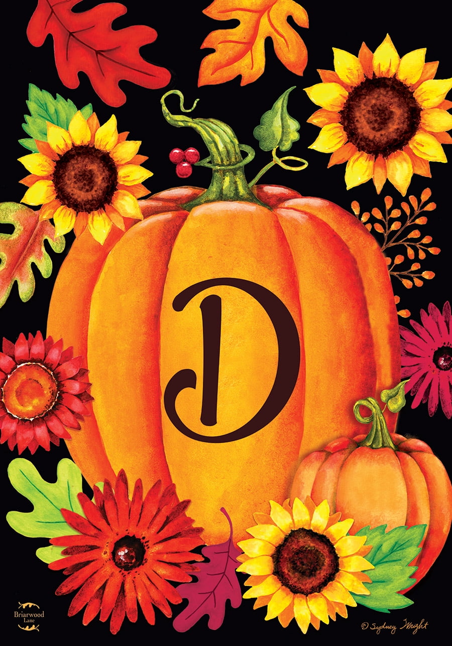 Fall Pumpkin Monogram Letter D Garden Flag Briarwood Lane 12.5" x 18" 