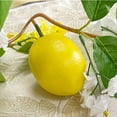 thumbnail image 4 of Artificial Lemon Garland with Faux Yellow Lemons & Green Leaves | 68.9-inch Plastic Hanging Vine for Home Decor | Wedding Backdrop, Farmhouse, Wall Art | Indoor & Outdoor Use, 4 of 6