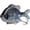 Black/Silver, variant on SwimPanfish Multi Jointed Panfish Bluegill Swimbaits Hard Topwater Bass Lures Fishing Lure Crank Saltwater 3.5in/0.85oz