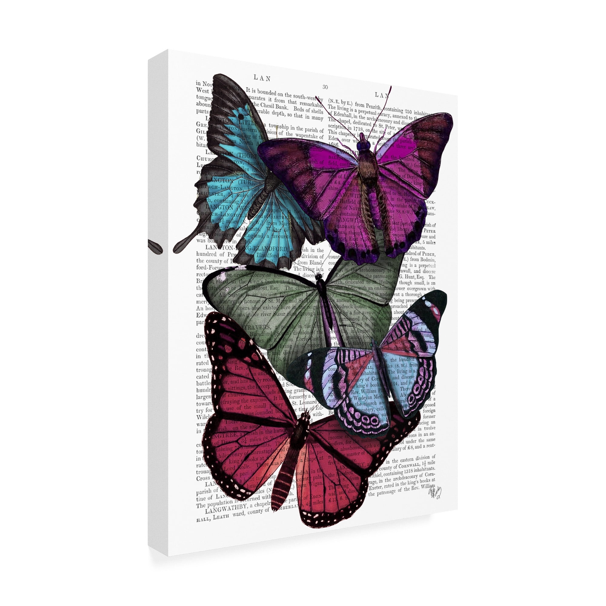 Trademark Fine Art 'Big Bold Butterflies 3' Canvas Art by Fab Funky