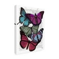 thumbnail image 2 of Trademark Fine Art 'Big Bold Butterflies 3' Canvas Art by Fab Funky, 2 of 3