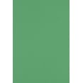 thumbnail image 1 of LUXPaper 13" x 19" Cardstock | Holiday Green | 100lb. Cover | 50 Qty, 1 of 4