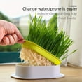 thumbnail image 2 of 1PCS Cat Grass Planter Pot, Dark Green Standard Size Wave Design Catnip Growing Kit, No Seeds Included, 2 of 5
