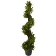 thumbnail image 1 of 39&rdquo; Rosemary Spiral Tree - In-door-Out-door, 1 of 1