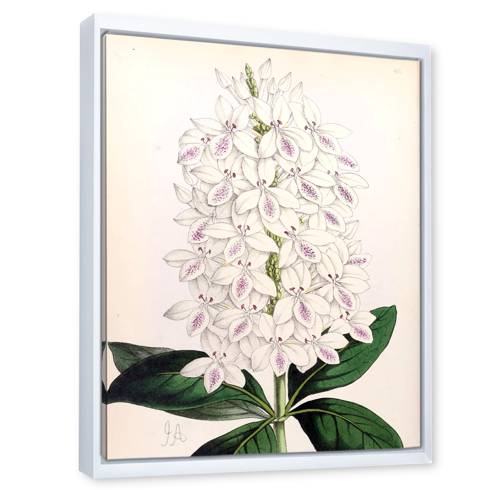Designart 'Ancient White Orchid III' Traditional Framed Canvas Wall Art Print